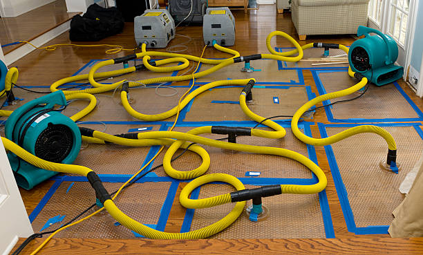 Professional Basement Flood Cleanup technician working in Saginaw, MI